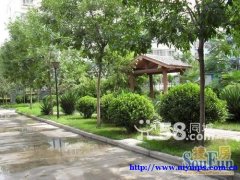 2004 house with gas heat - 2-bedroom - urgent sale